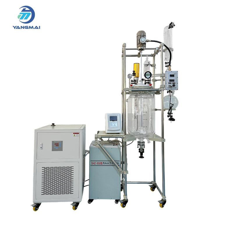 Glass Reactor With Ultrasonic Probe