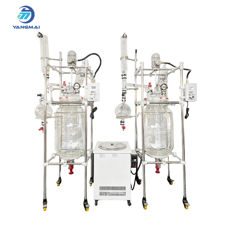 Повысьте эффективность работы вашей лаборатории с помощью высококачественных стеклянных реакторов.